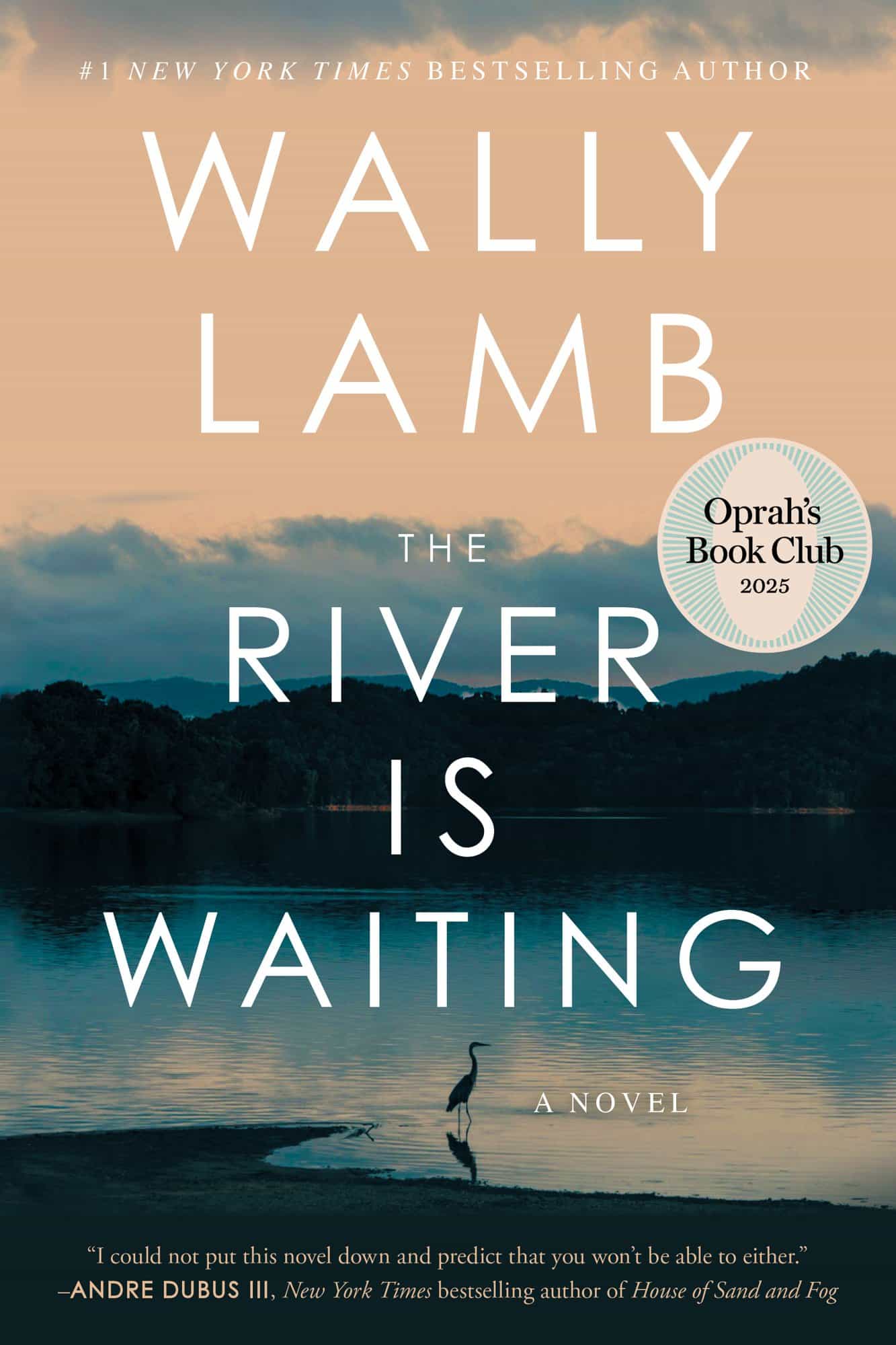 The River Is Waiting (Oprah's Book Club): A Novel