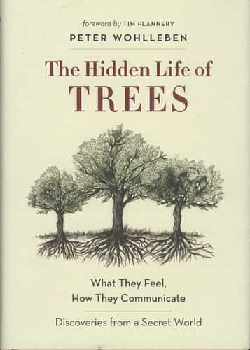 The Hidden Life of Trees