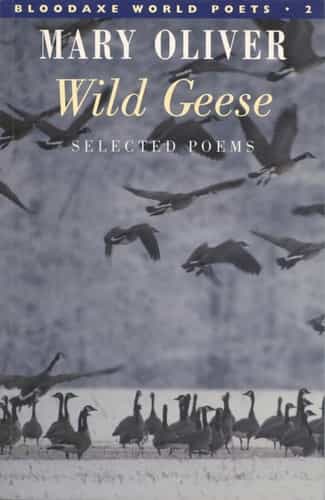 Wild Geese