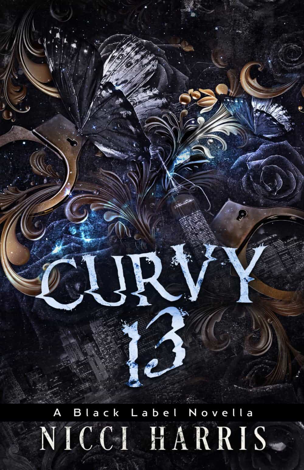 CurVy 13