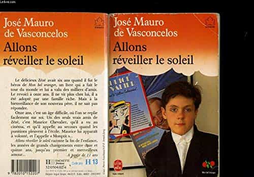 Allons réveiller le soleil : roman