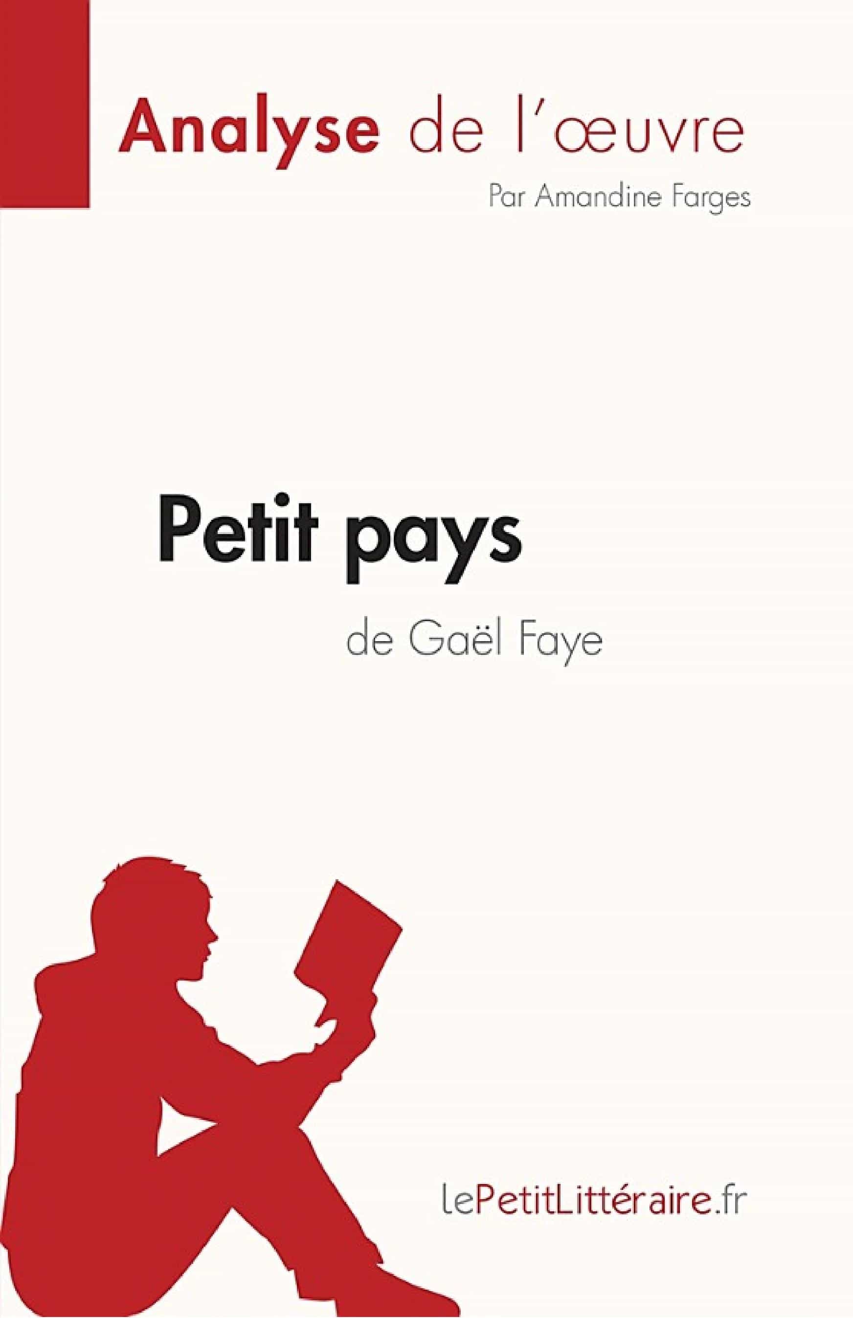 Petit pays de Gael Faye (Analyse de l'œuvre)