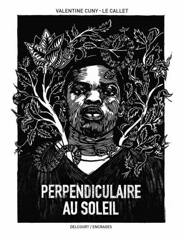 Perpendiculaire au soleil