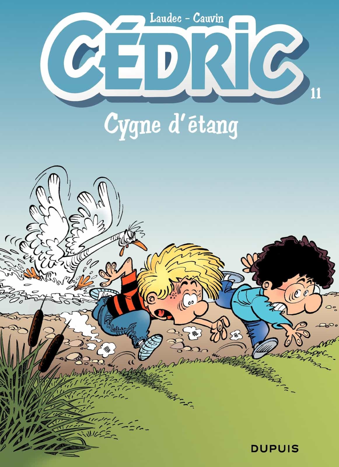 Cédric - 11 - CYGNE D'ETANG