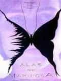 Ailes de papillon
