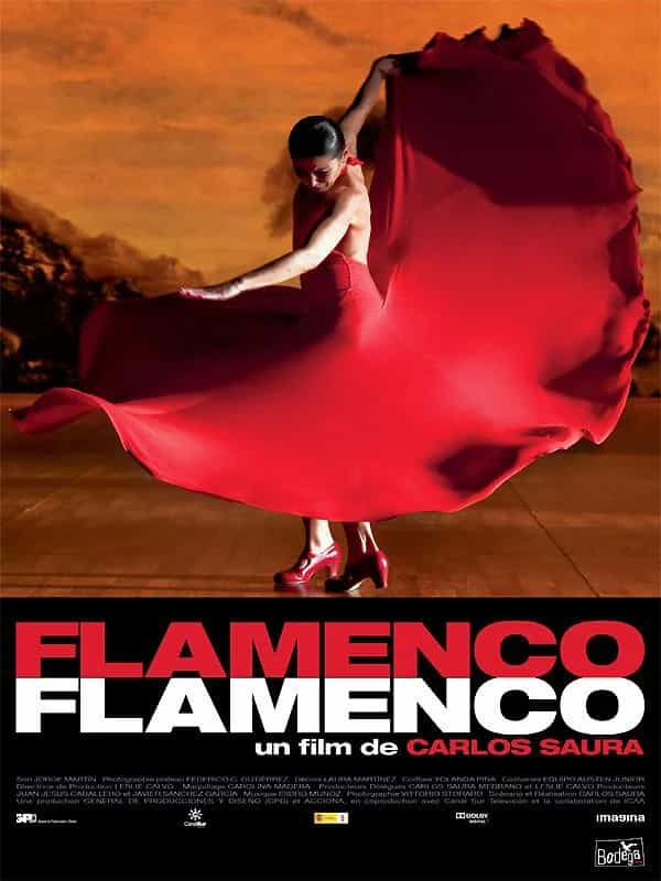 Flamenco, Flamenco