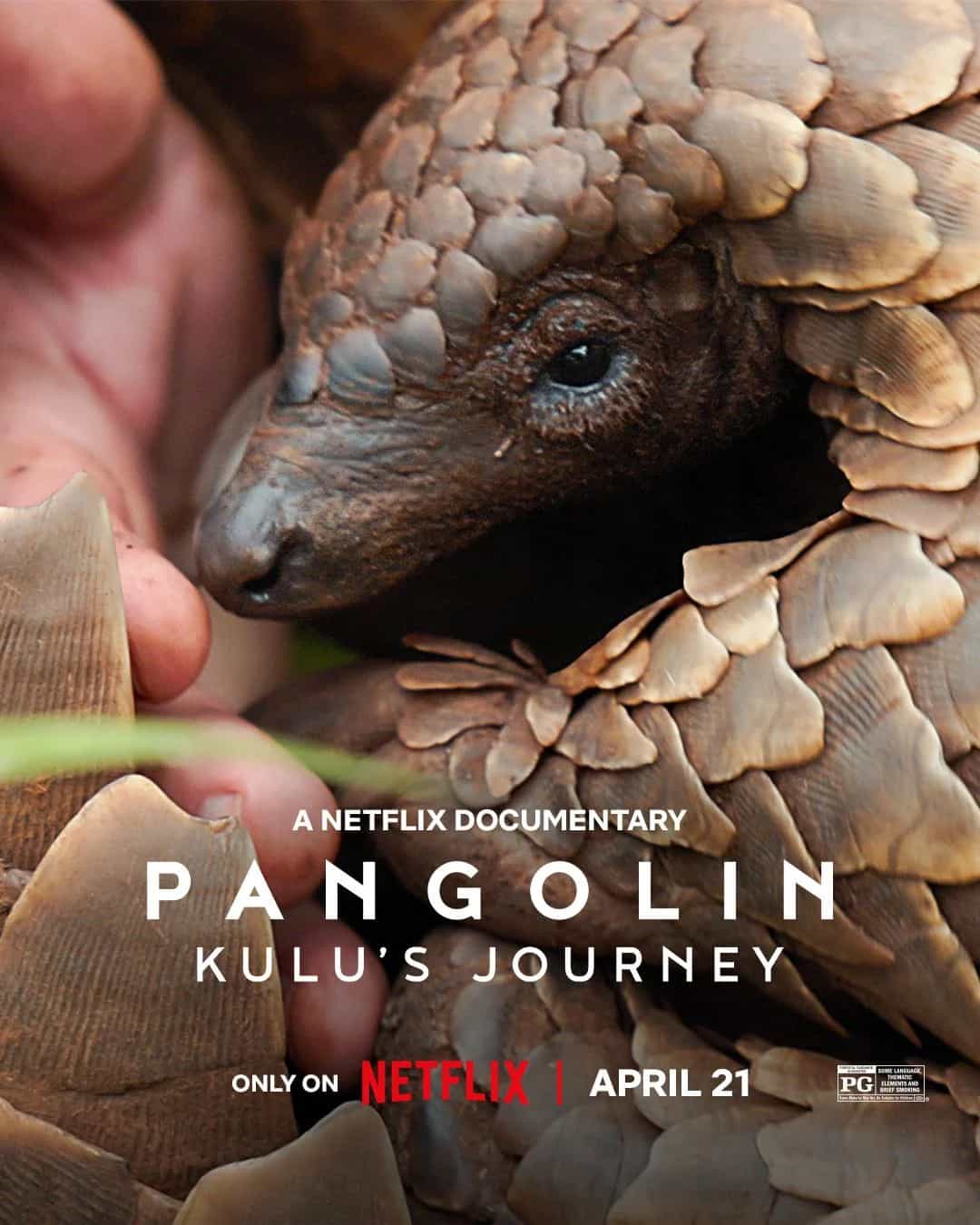 Pangolin : Chemins de vie