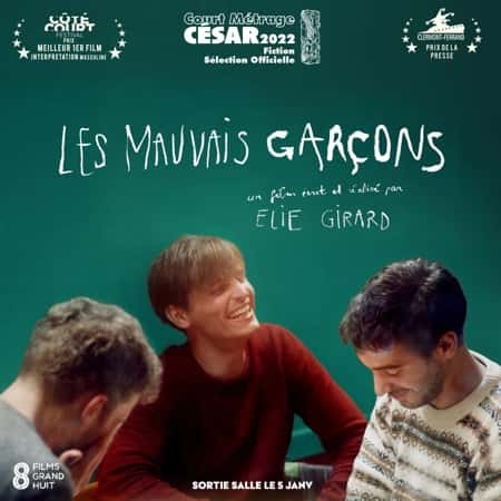 Les mauvais garçons