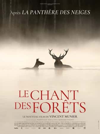 Le Chant des forêts