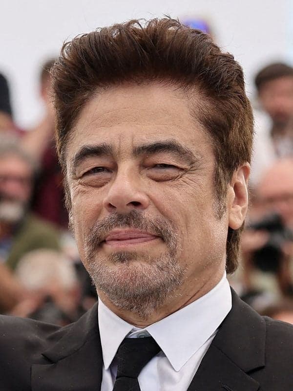 Benicio Del Toro