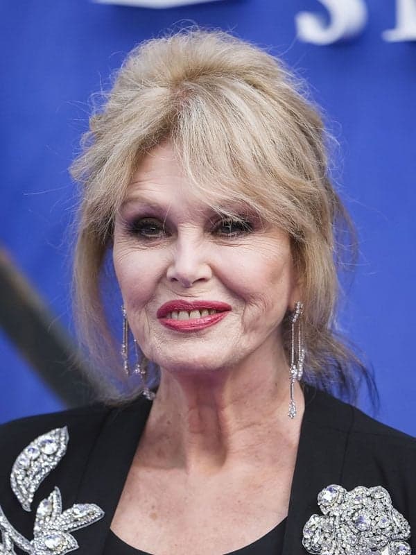 Joanna Lumley