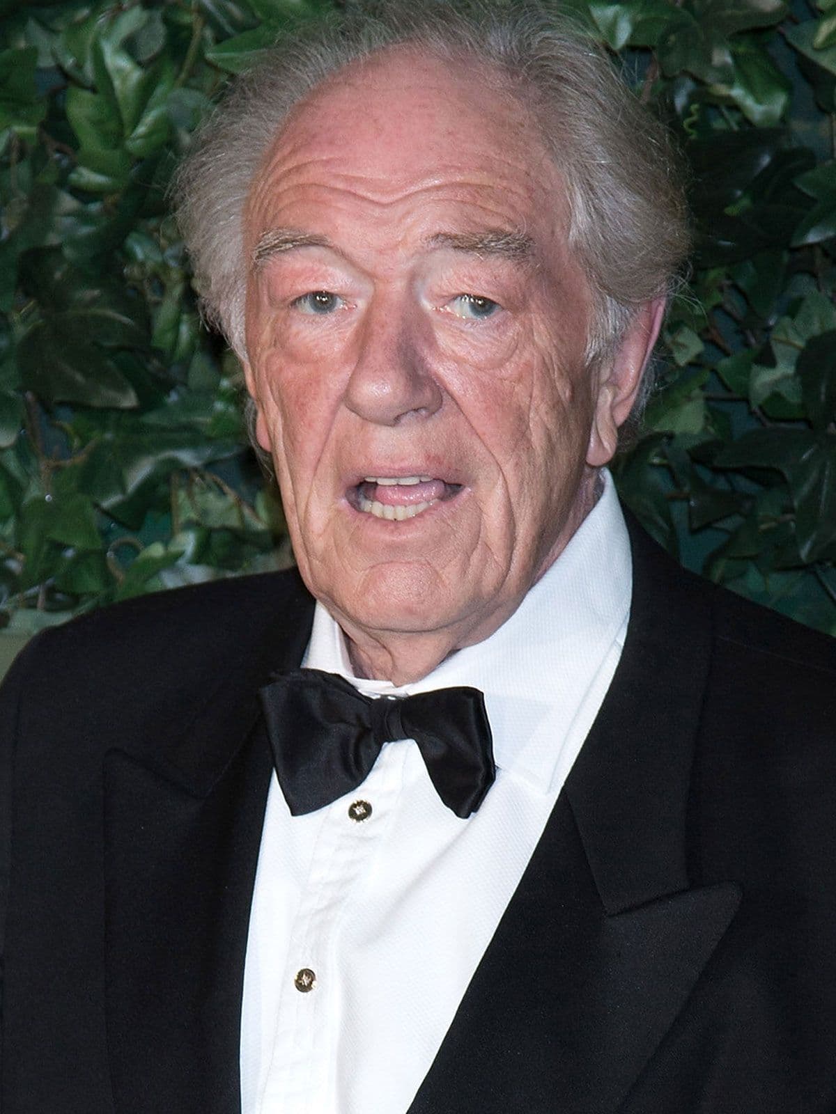 Michael Gambon