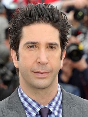 David Schwimmer