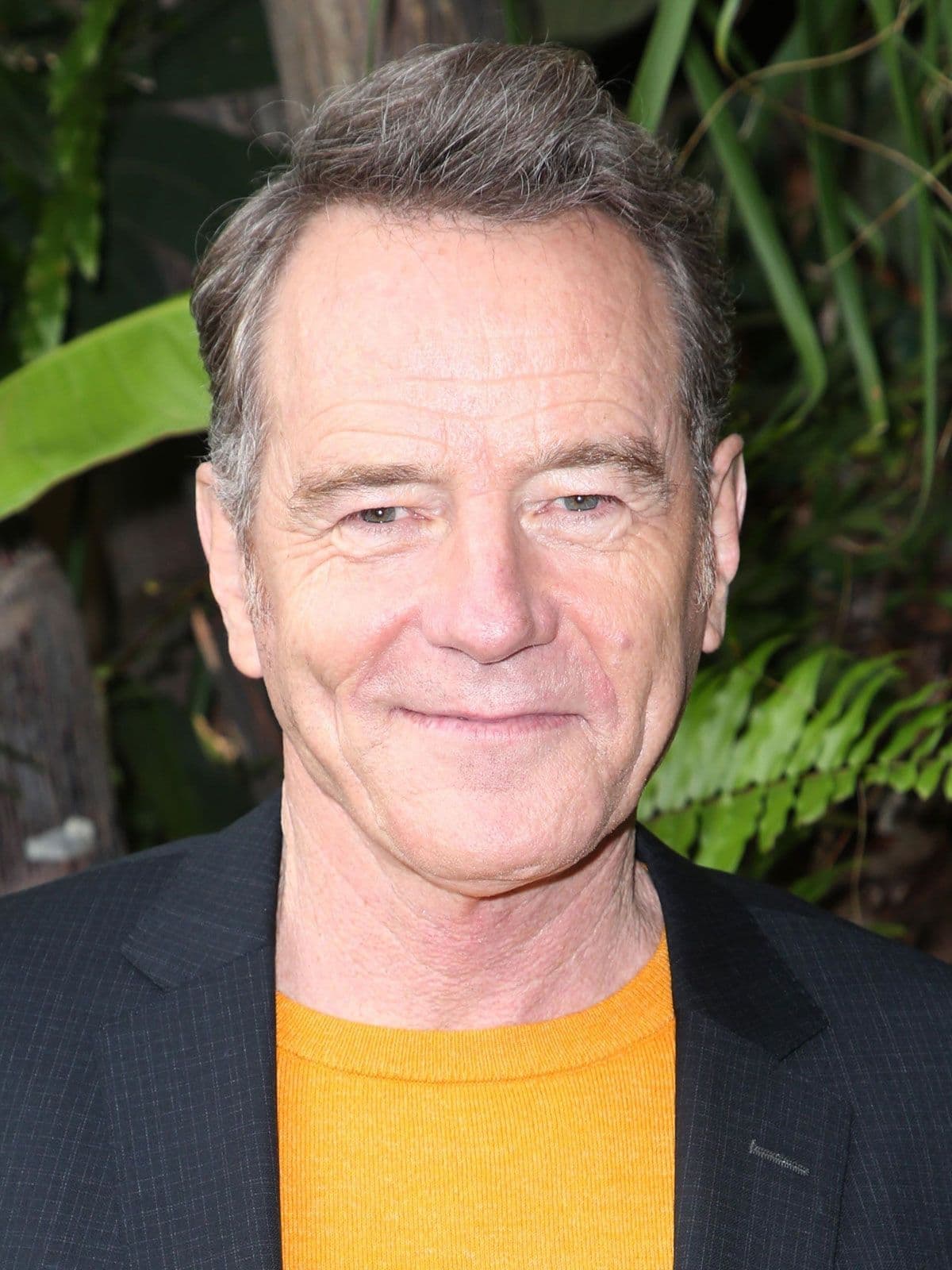 Bryan Cranston