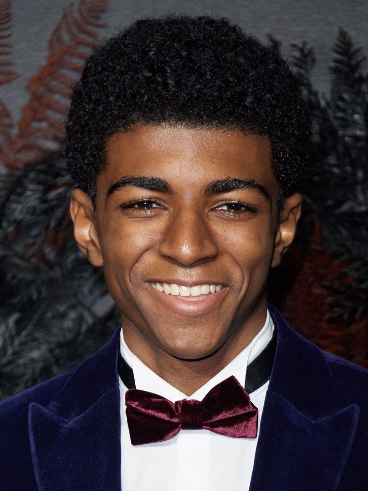 Wilson Radjou-Pujalte