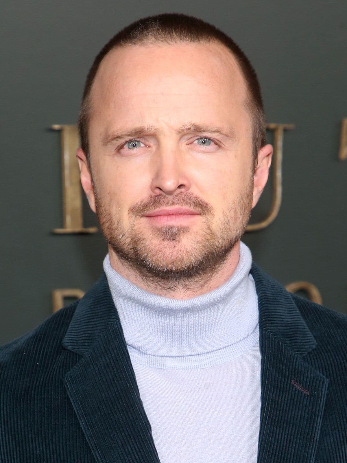Aaron Paul