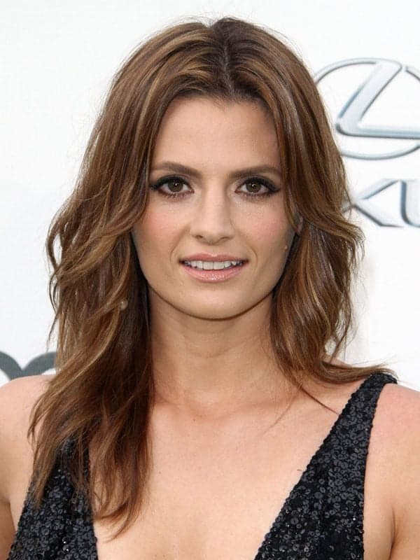 Stana Katic