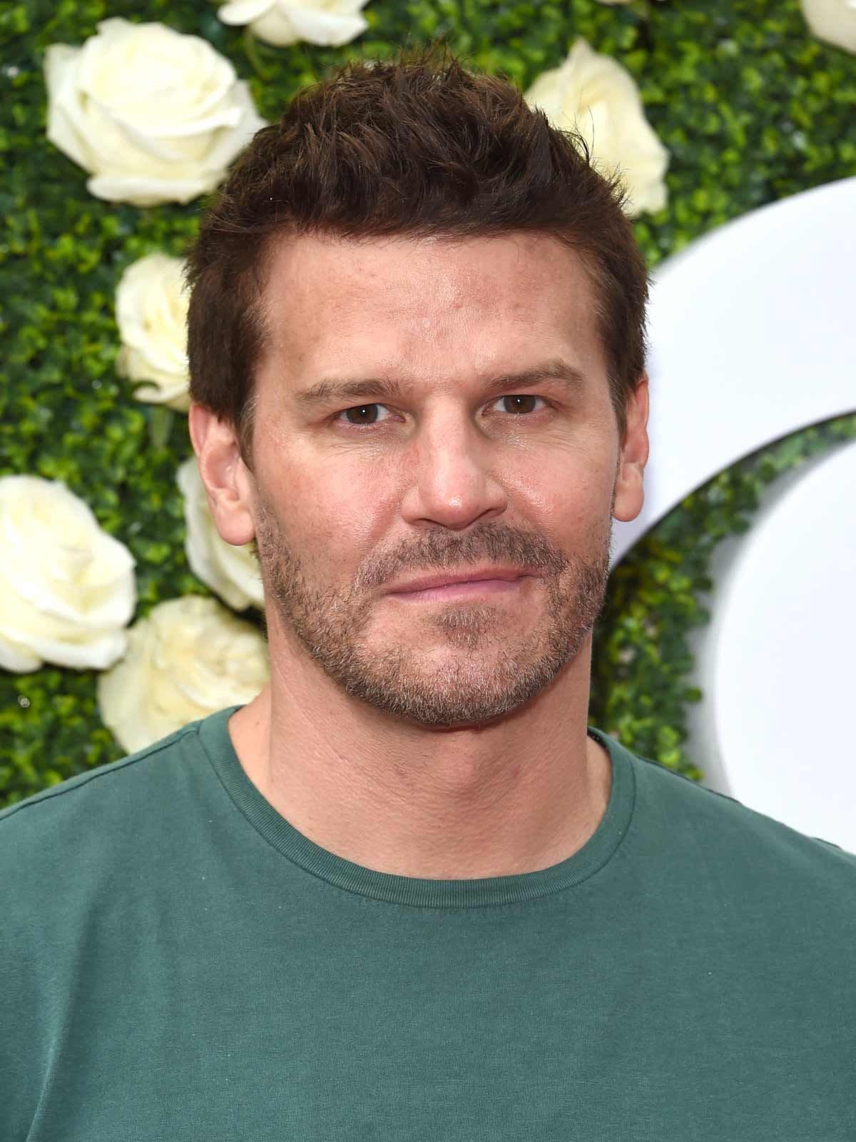 David Boreanaz