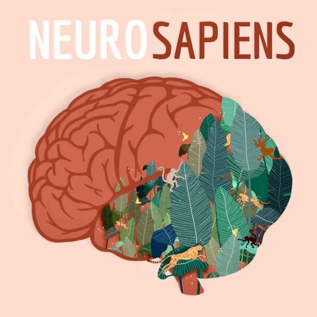 Neurosciences, comprendre le cerveau