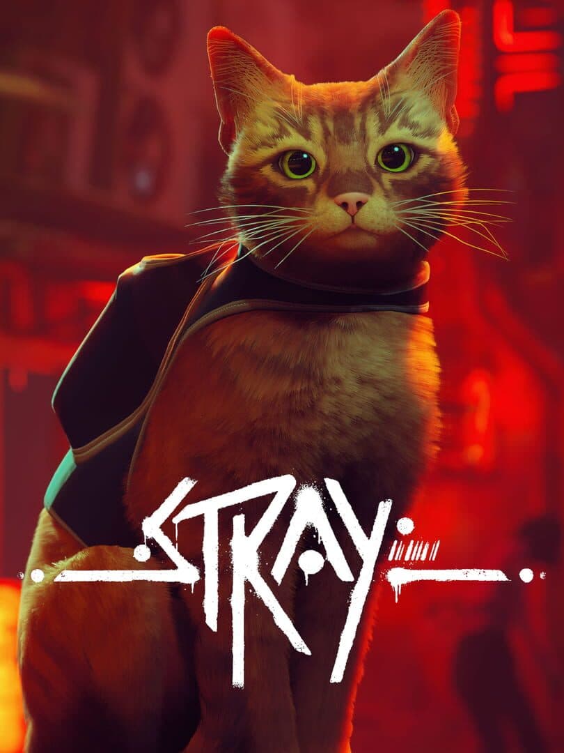 Stray - Memory Image