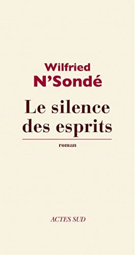 Le silence des esprits (Lettres africaines) - Cover