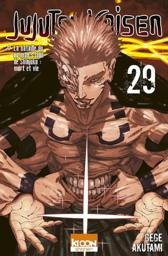 Jujutsu Kaisen T29 - Cover