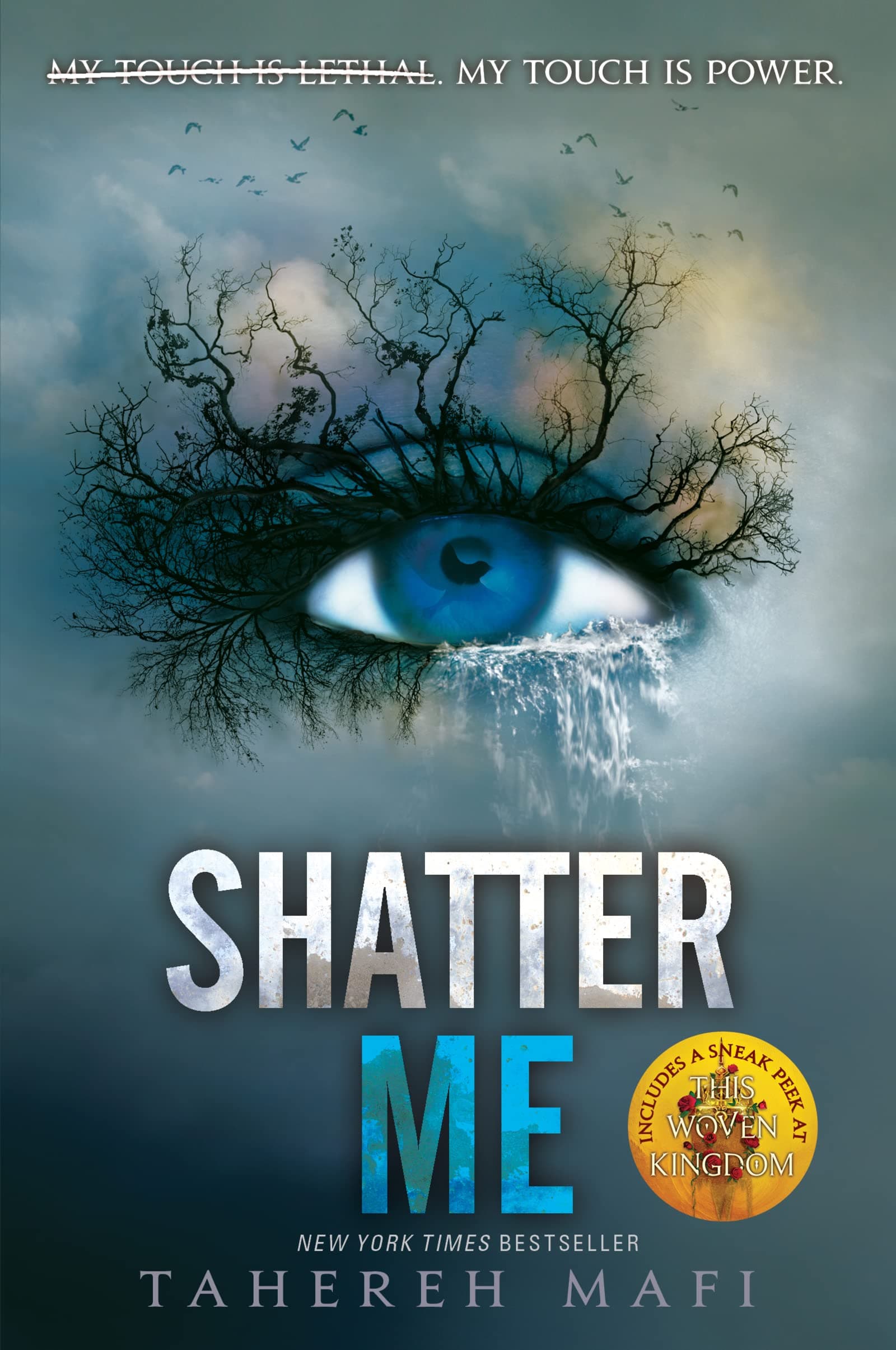 Shatter Me - Cover