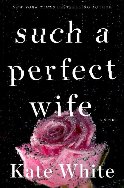Such a Perfect Wife - Cover