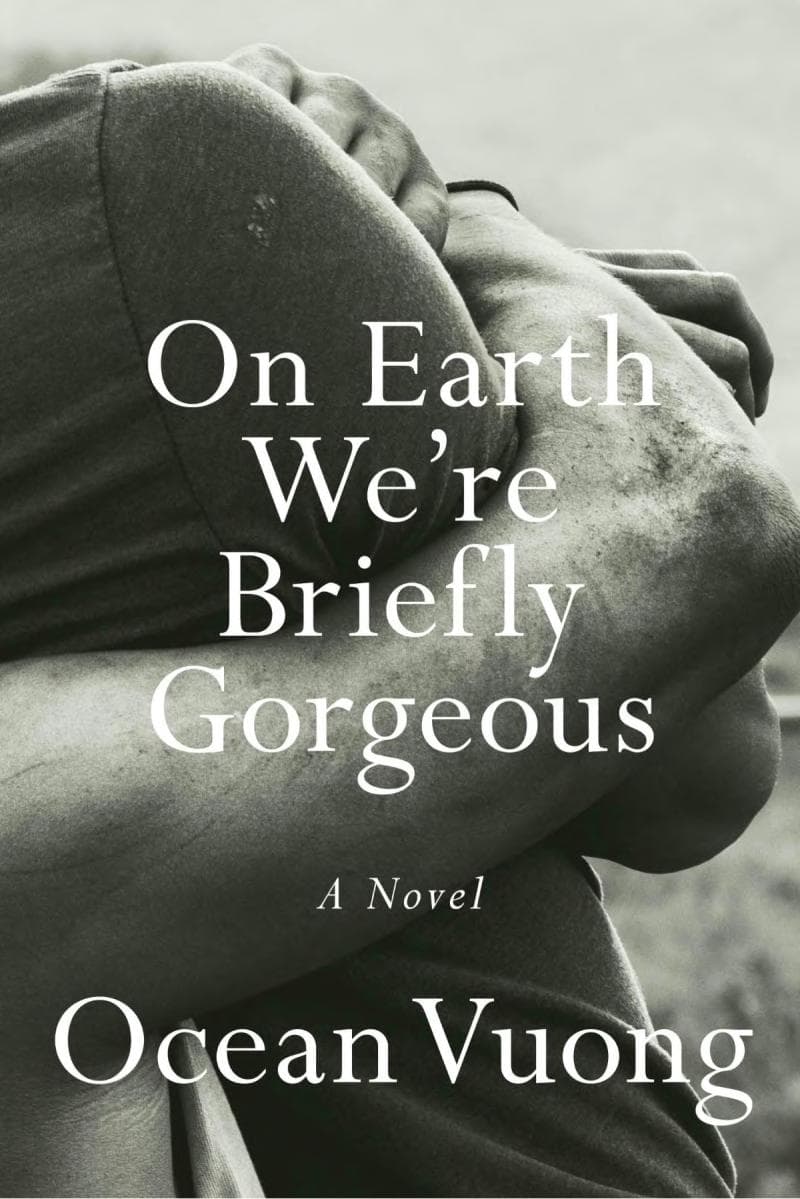 On Earth We're Briefly Gorgeous - Cover