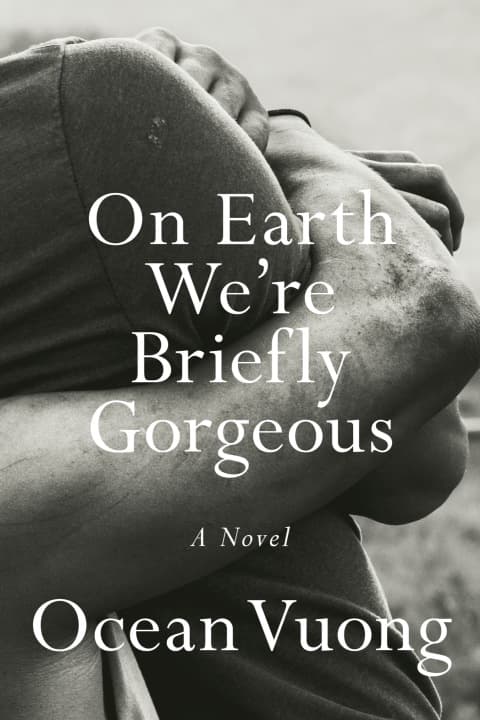 On Earth We're Briefly Gorgeous - Cover
