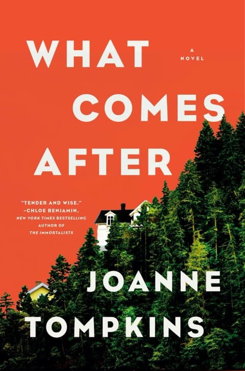 What Comes After - Cover
