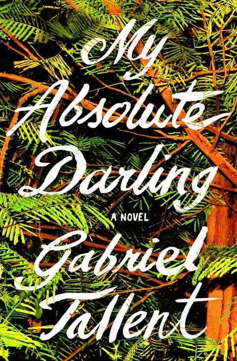 My Absolute Darling - Cover