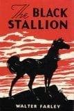 The Black Stallion - Cover