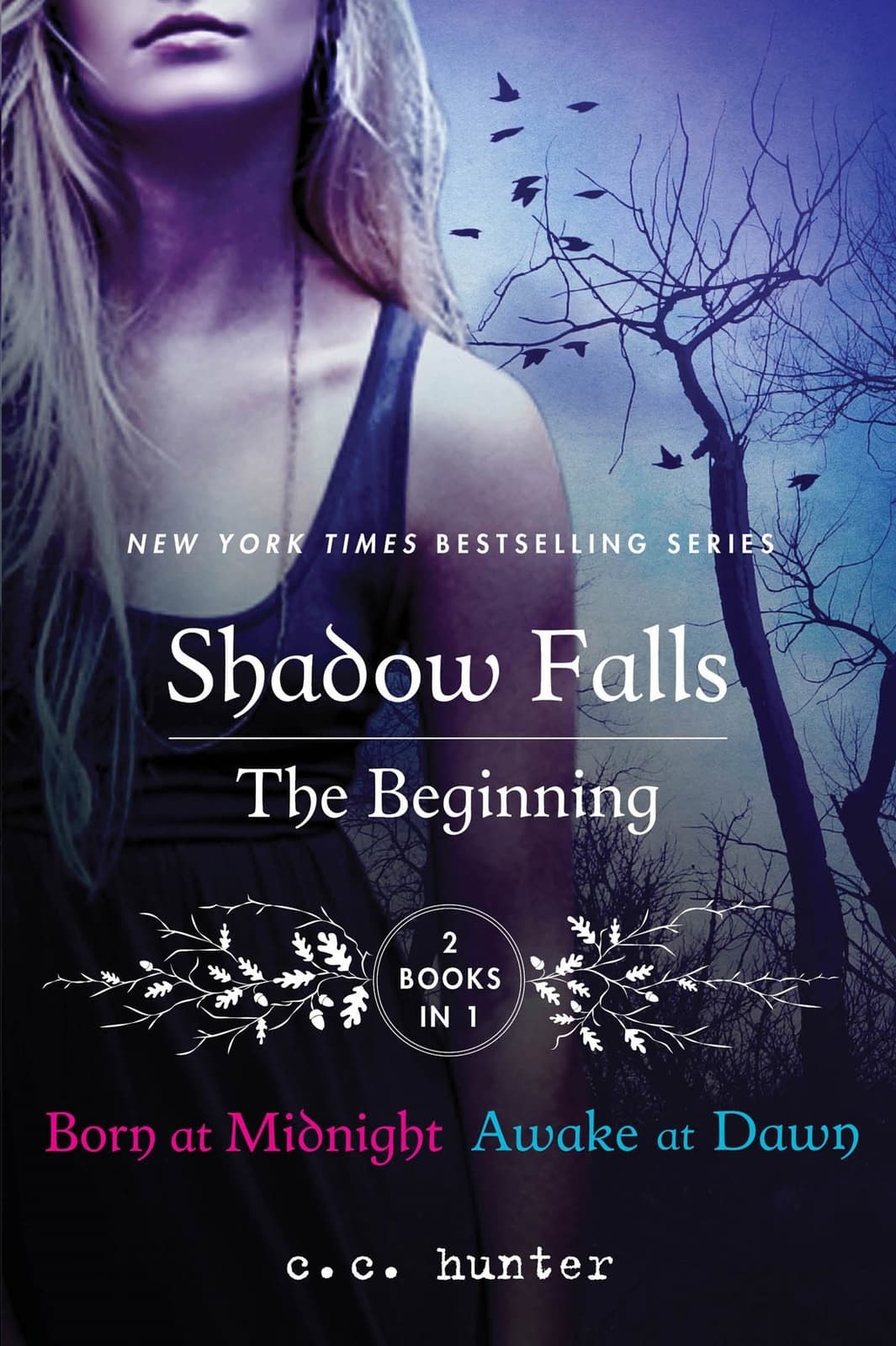Shadow Falls: The Beginning - Cover