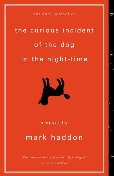 The Curious Incident of the Dog in the Night-Time - Cover