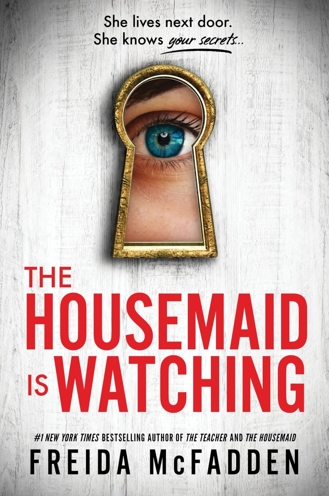 The Housemaid Is Watching - Cover