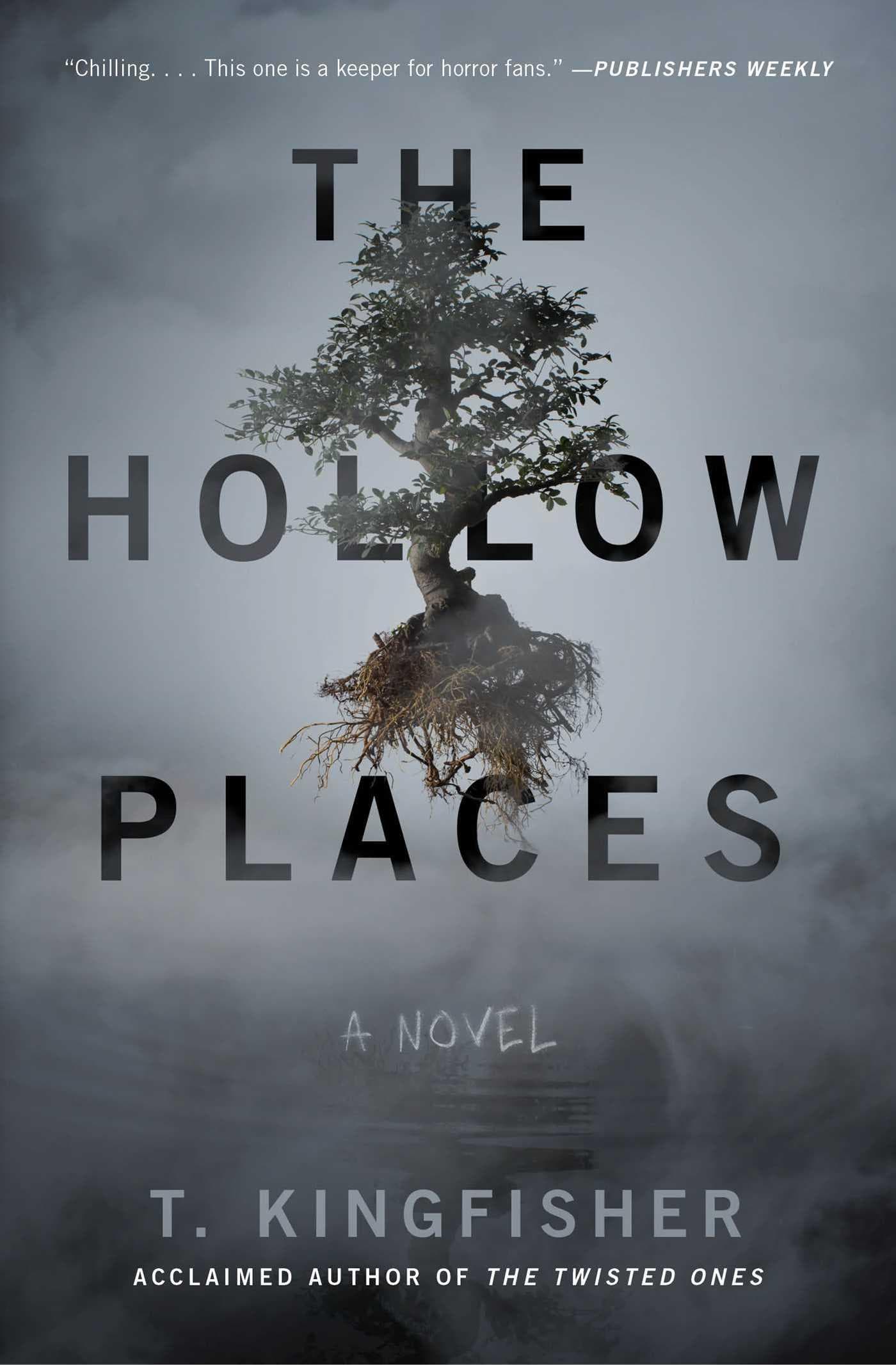 The Hollow Places - Cover