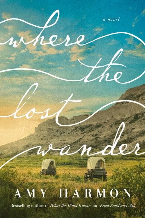 Where the Lost Wander - Cover