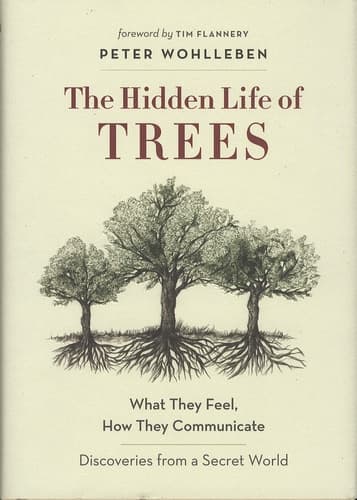 The Hidden Life of Trees - Cover