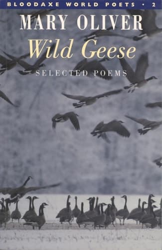 Wild Geese - Cover