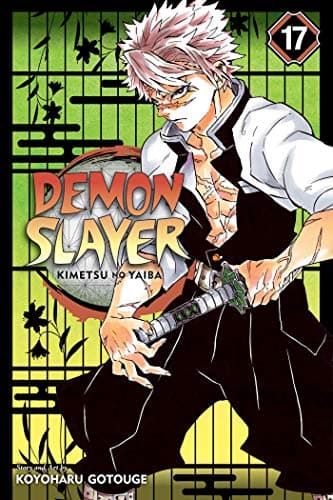 Demon Slayer: Kimetsu no Yaiba, Vol. 17 - Cover