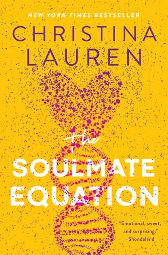 The Soulmate Equation - Cover