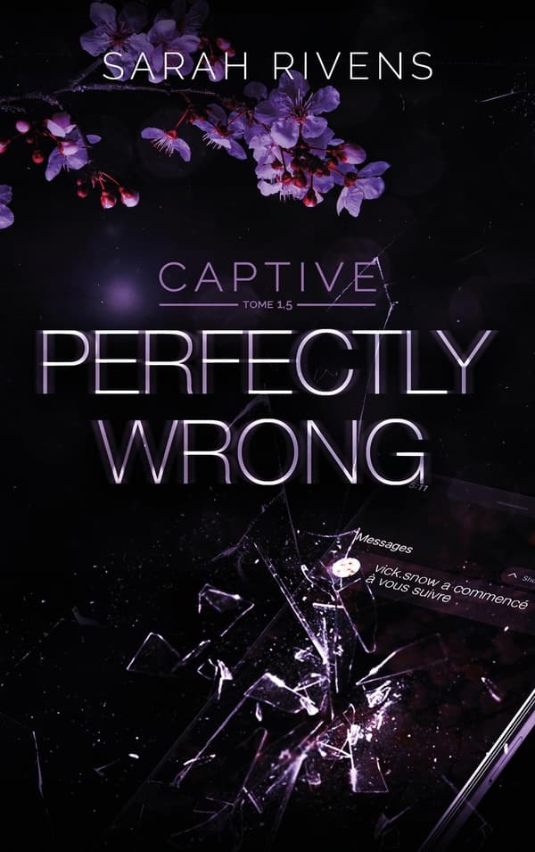 Captive 1.5 - Perfectly Wrong - Memory Image
