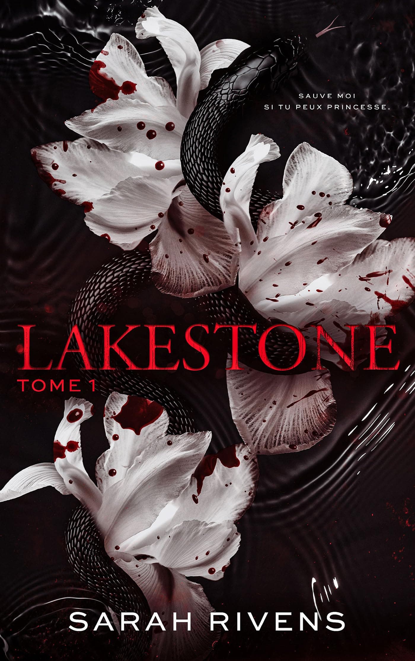 Lakestone - Tome 1 - Cover