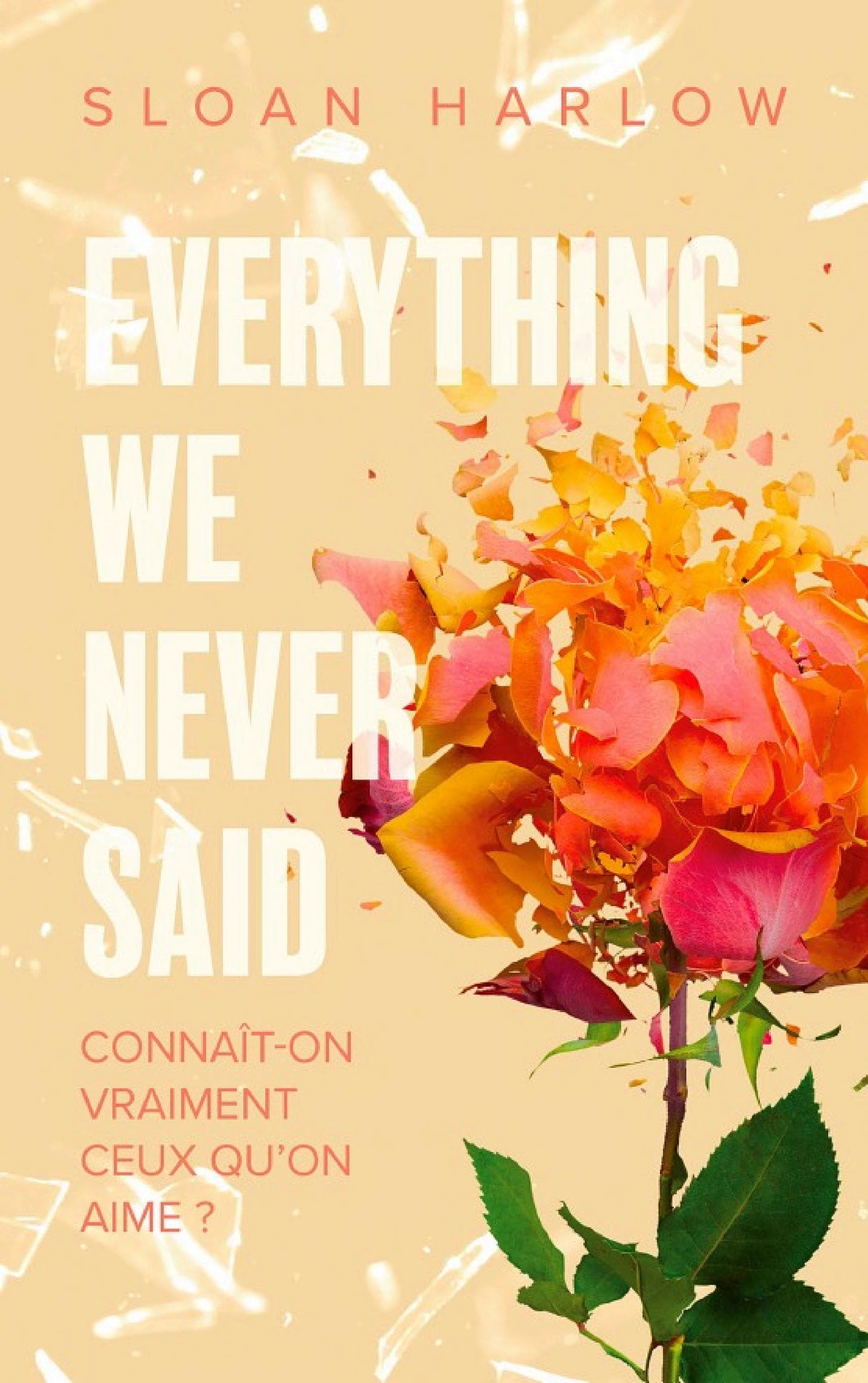 Everything we never said - Connaît-on vraiment ceux qu'on aime ? - Cover