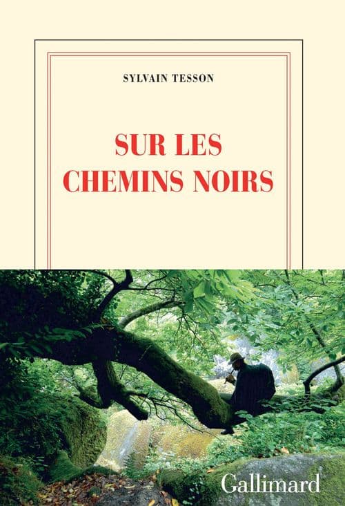 Sur les chemins noirs - Cover