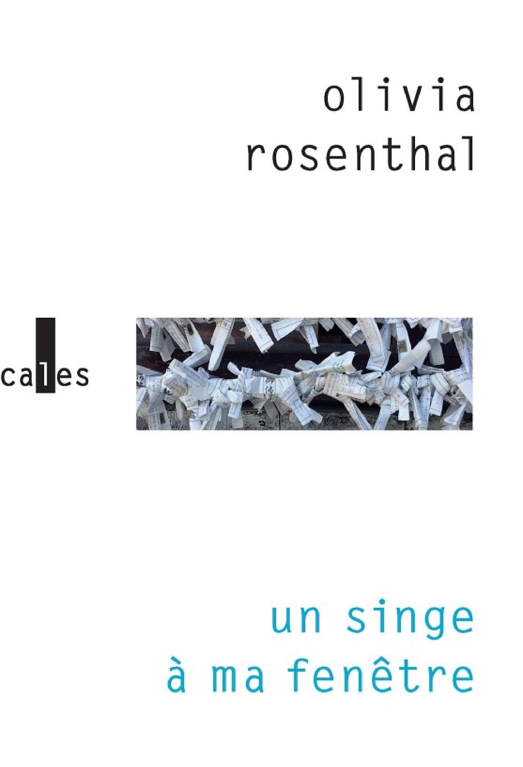 Un singe à ma fenêtre - Cover