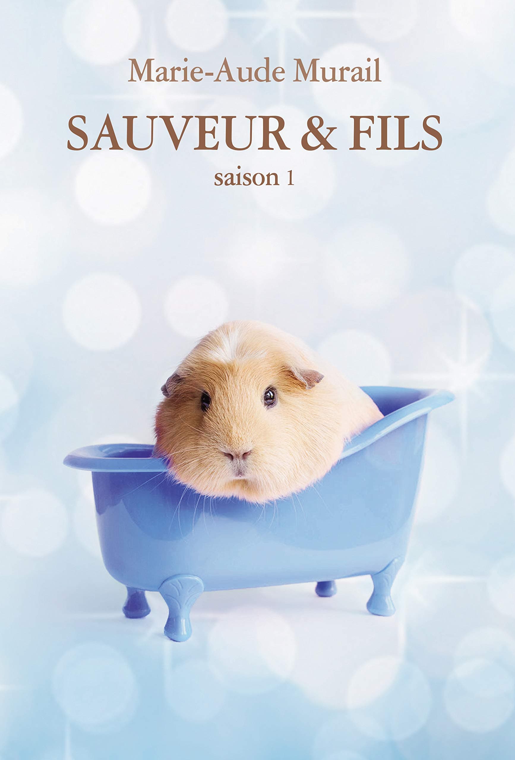 Sauveur & Fils Saison 1 - Cover