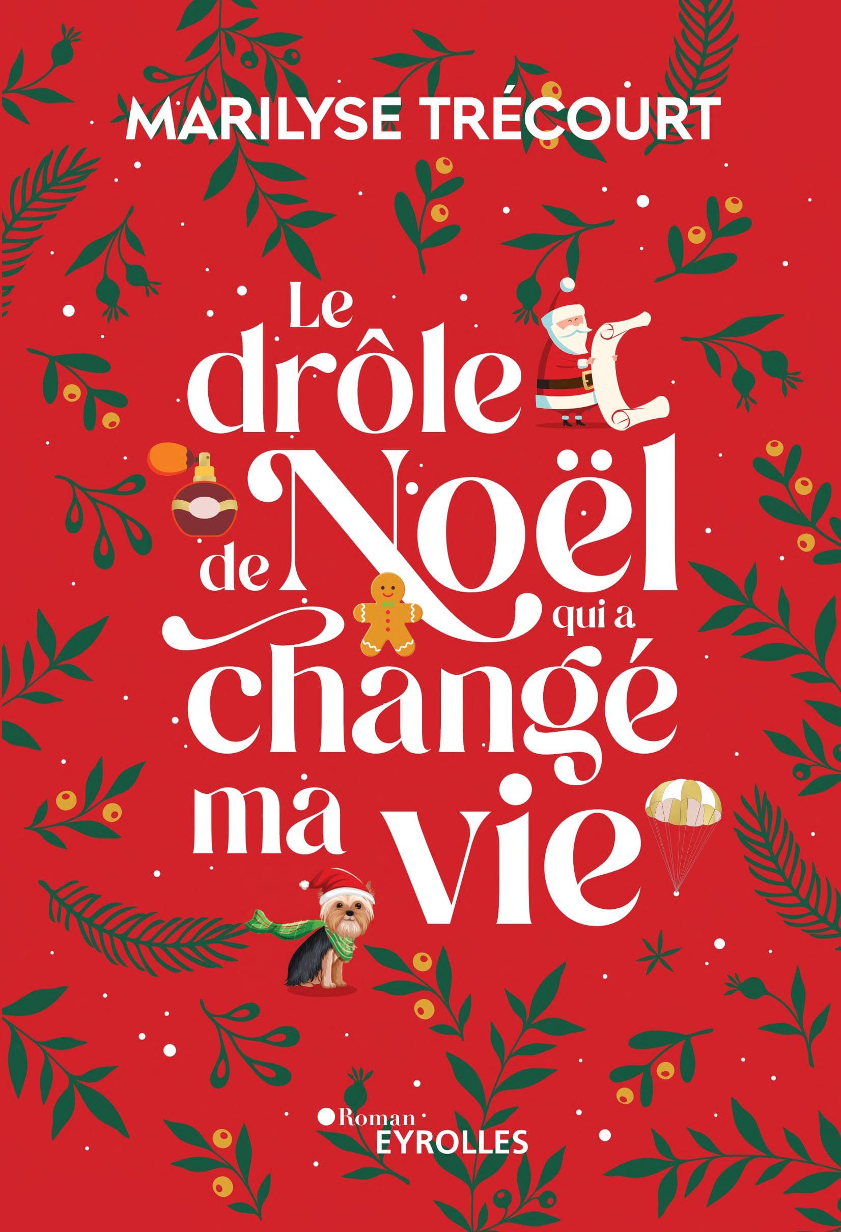 Le drôle de Noël qui a changé ma vie - Cover