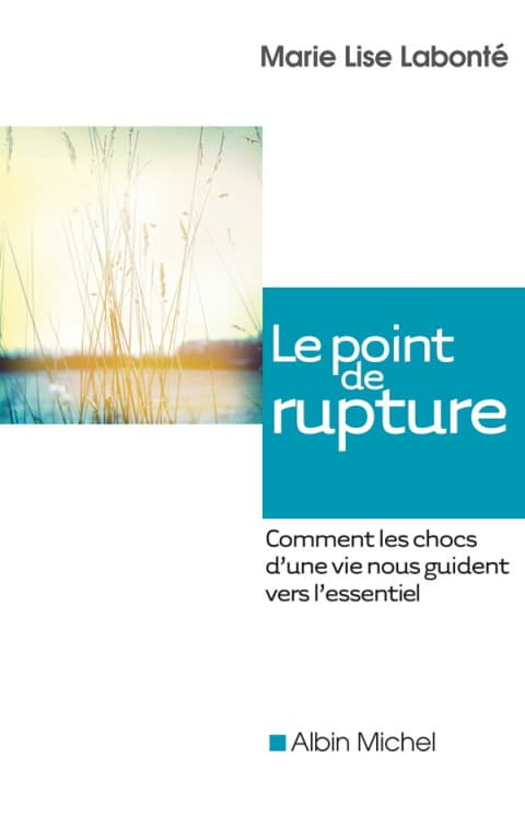 Le Point de rupture - Cover